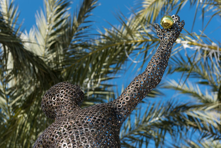 Homenaje al Tenista David Ferrer