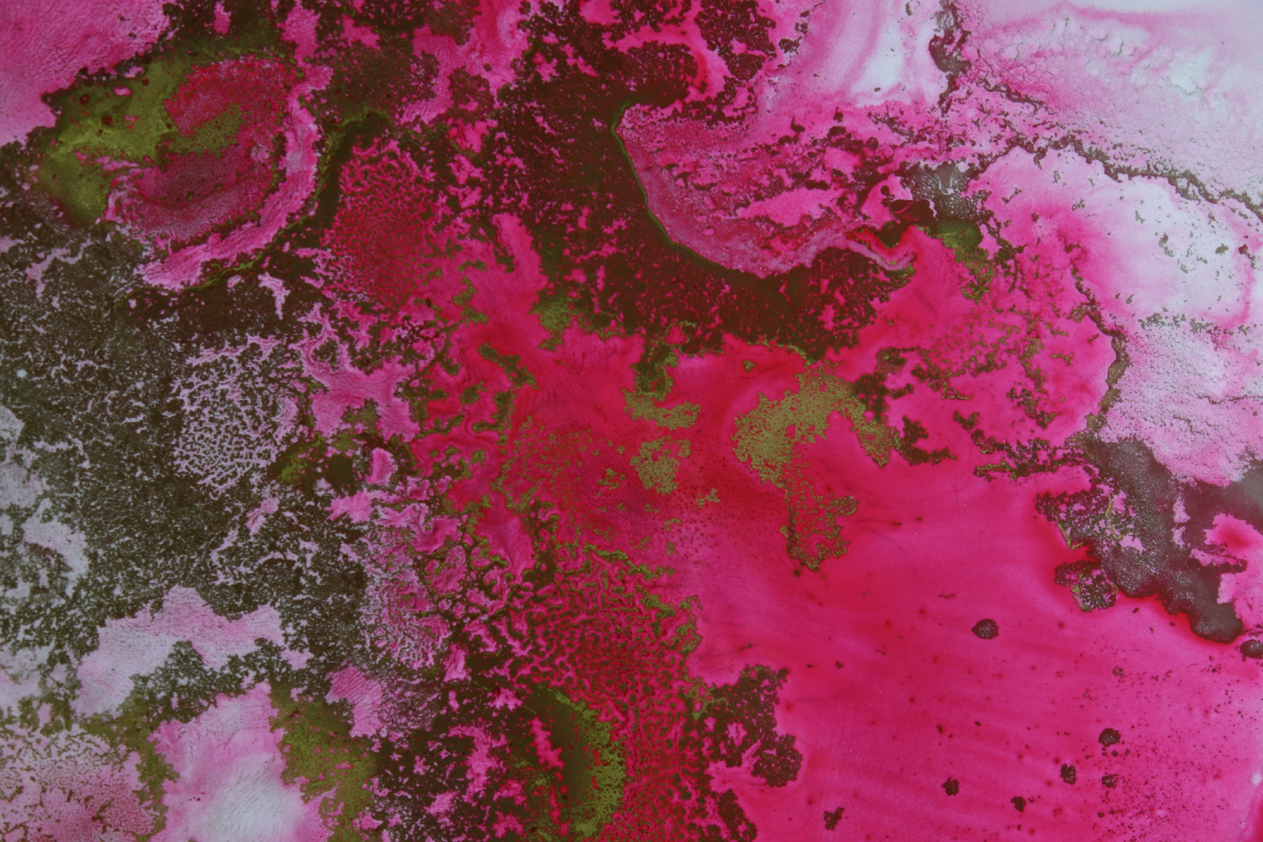 Abstracción Fucsia