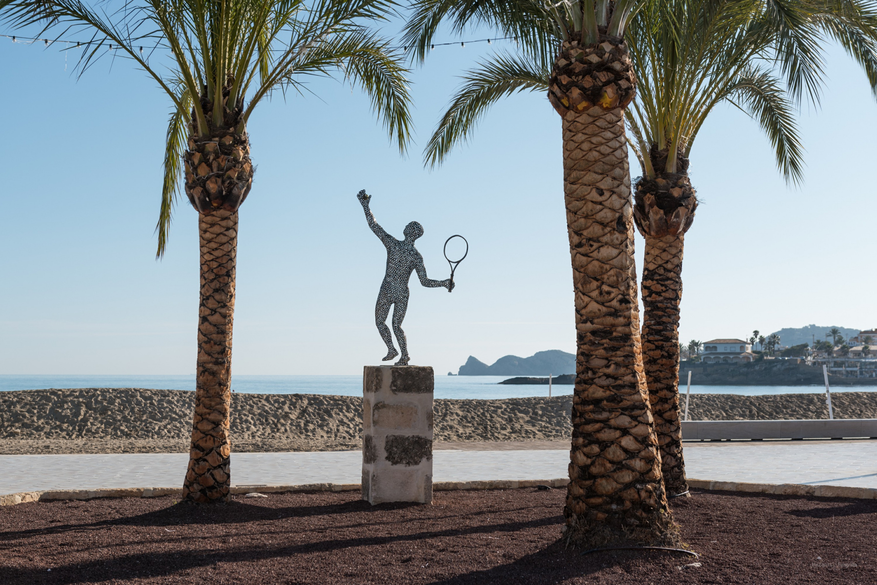 Homenaje al Tenista David Ferrer